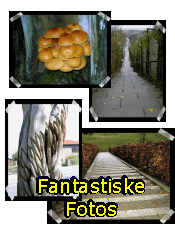 Se nogle fantastiske fotos